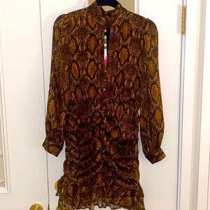 Zara Snake Print Dress